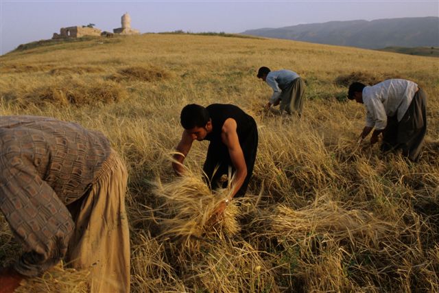 Photos of Iran