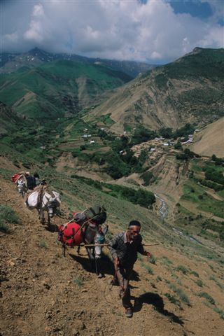 Photos of Iran