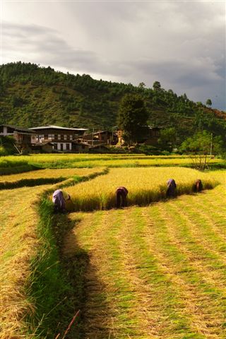 Photos Bhutan