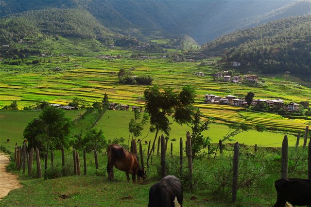 Photos Bhutan