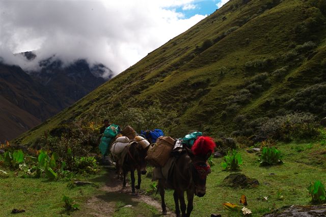 Photos Bhutan