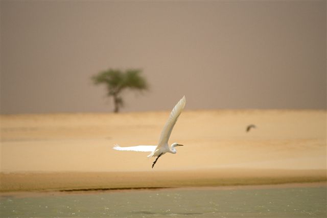Photos of Kira Salak Kayaking 600 Miles To Timbuktu, Mali