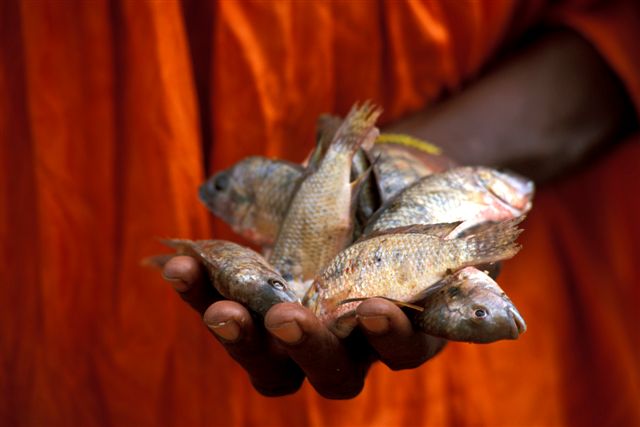 Photos of Kira Salak Kayaking 600 Miles To Timbuktu, Mali