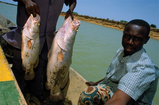 Photos of Kira Salak Kayaking 600 Miles To Timbuktu, Mali