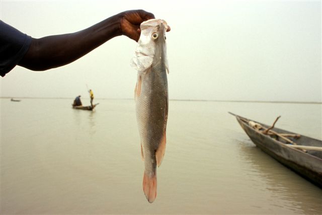 Photos of Kira Salak Kayaking 600 Miles To Timbuktu, Mali