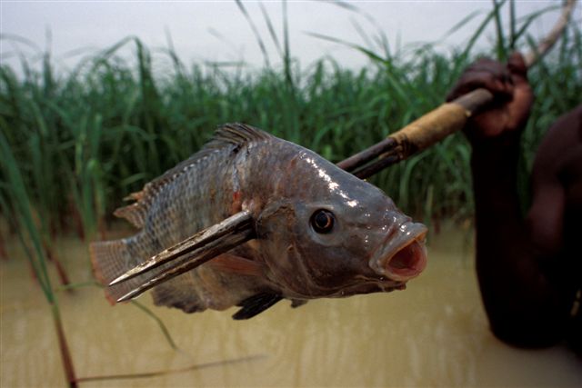 Photos of Kira Salak Kayaking 600 Miles To Timbuktu, Mali