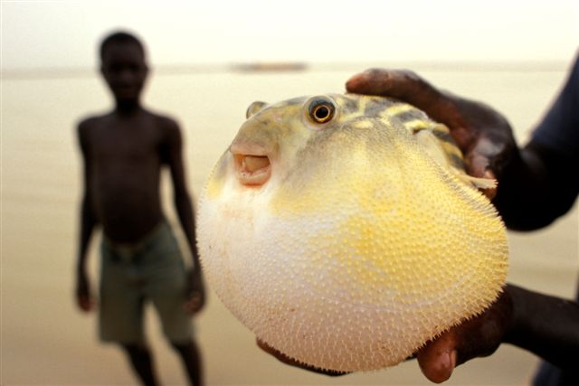 Photos of Kira Salak Kayaking 600 Miles To Timbuktu, Mali