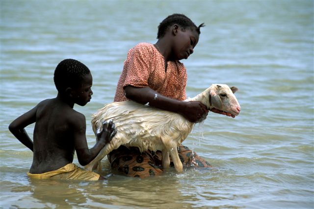 Photos of Kira Salak Kayaking 600 Miles To Timbuktu, Mali