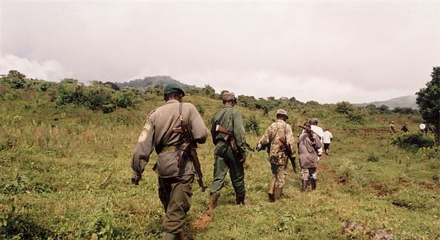 Photos of Rwanda and Rwanda Mountain Gorillas