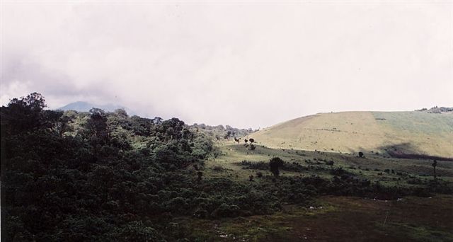 Photos of Rwanda and Rwanda Mountain Gorillas