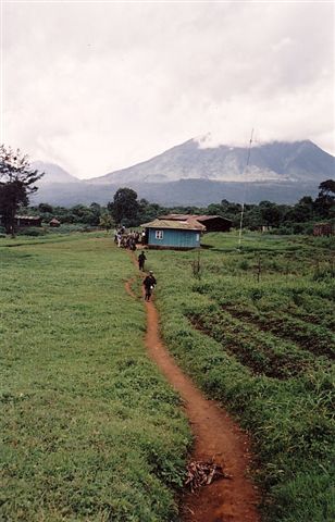 Photos of Rwanda and Rwanda Mountain Gorillas