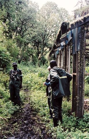 Photos of Rwanda and Rwanda Mountain Gorillas